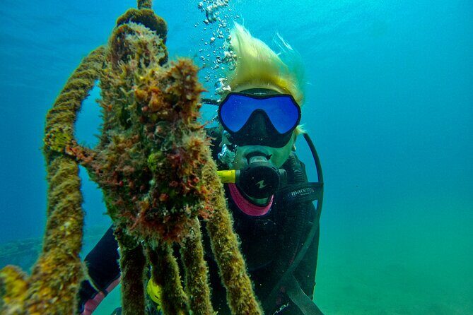 Private Scuba Diving Tour with Transportation and Guide - The itinerary, step by step, within a tight 4-hour window
