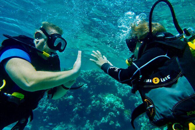 Private Scuba Diving Tour with Transportation and Guide - Price and value: what $220 really covers