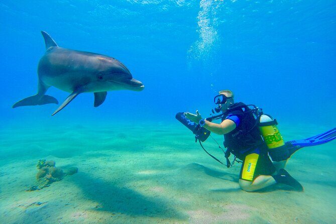 Private Scuba Diving Tour with Transportation and Guide - Who should book this SCUBA experience (and who should think twice)