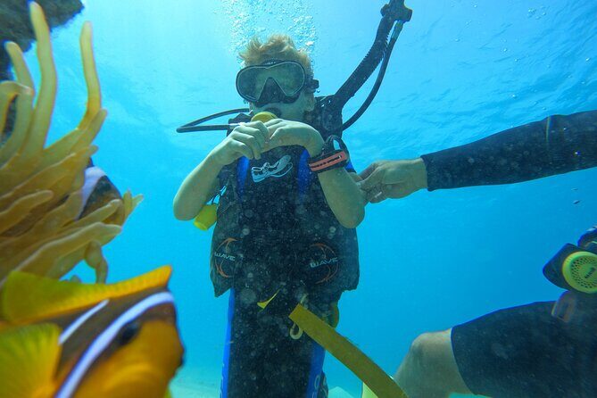 Private Scuba Diving Tour with Transportation and Guide - Small practical notes that matter on the day