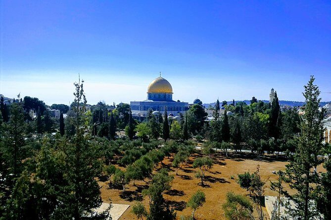 Private Tour: Old City of Jerusalem Christianity Tour - St Anne Church (Crusader-era) and the Pool of Bethesda