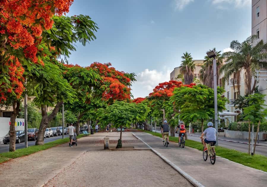 Tel Aviv: Carmel Market & Tel Aviv Tour with Tastings - Along Herzl Street and Rothschild Boulevard (Founder Stories Included)