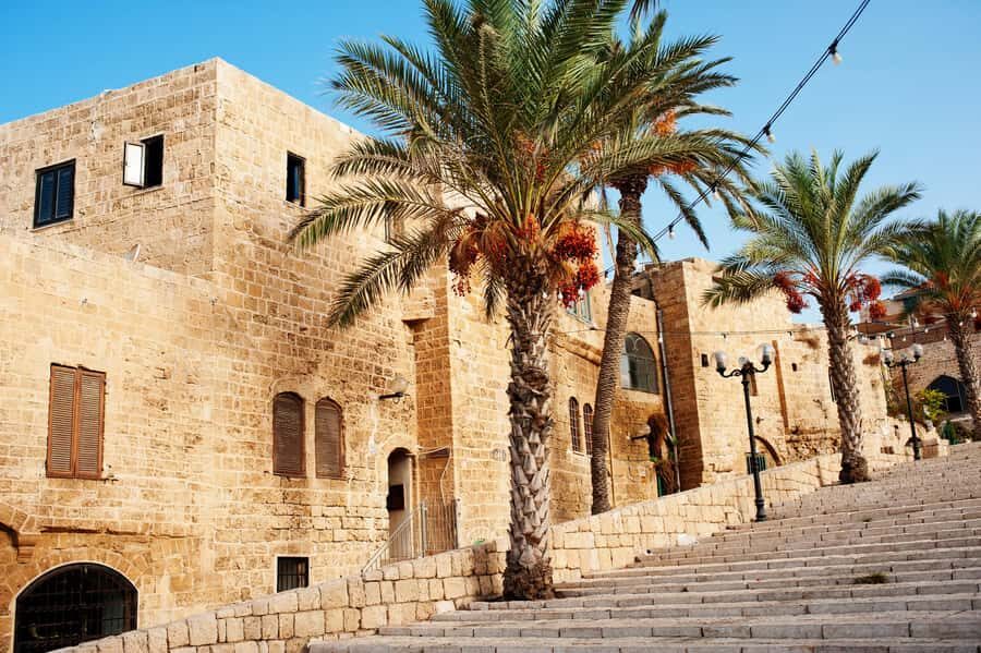 Tel Aviv: Jaffa Half-Day Walking Tour - Guide quality matters, and it shows up in the details