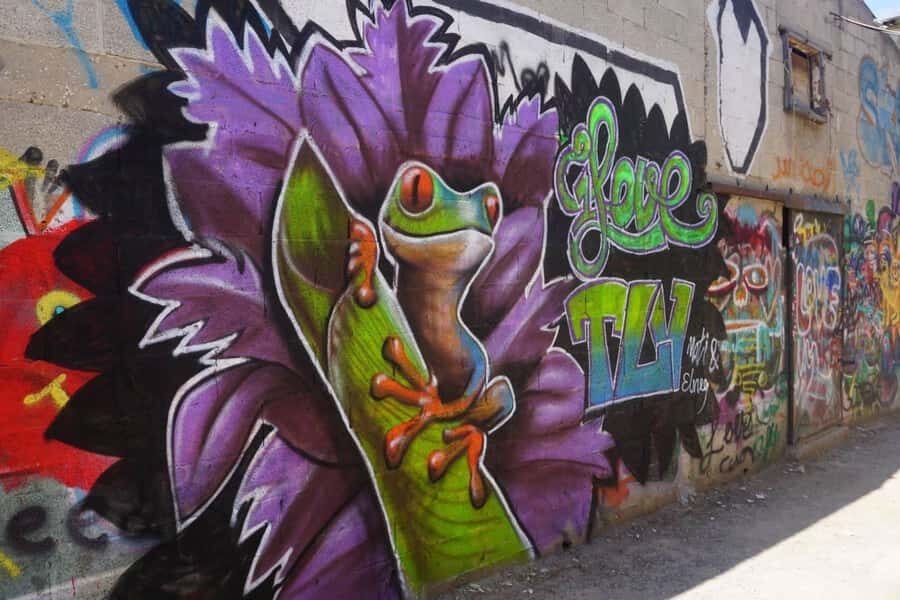 Tel Aviv: Street Art and Graffiti Tour - Key things I found most interesting