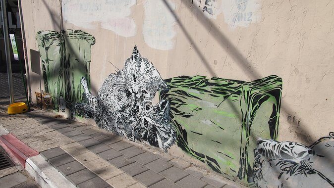 Tel Aviv Street Art Tour - Florentine Walk: What You’ll Notice on the Streets
